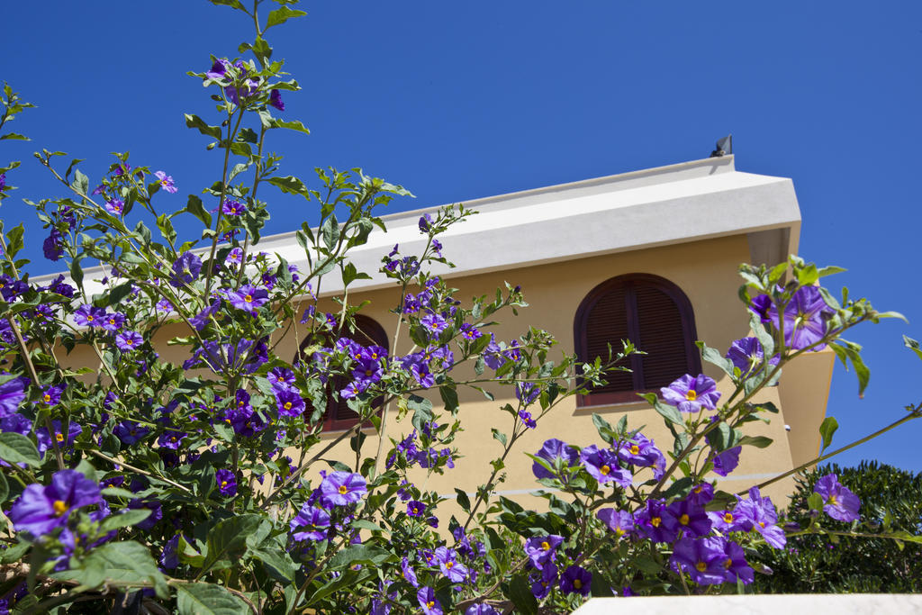 Orlando Vacanze Camere Erice Zewnętrze zdjęcie
